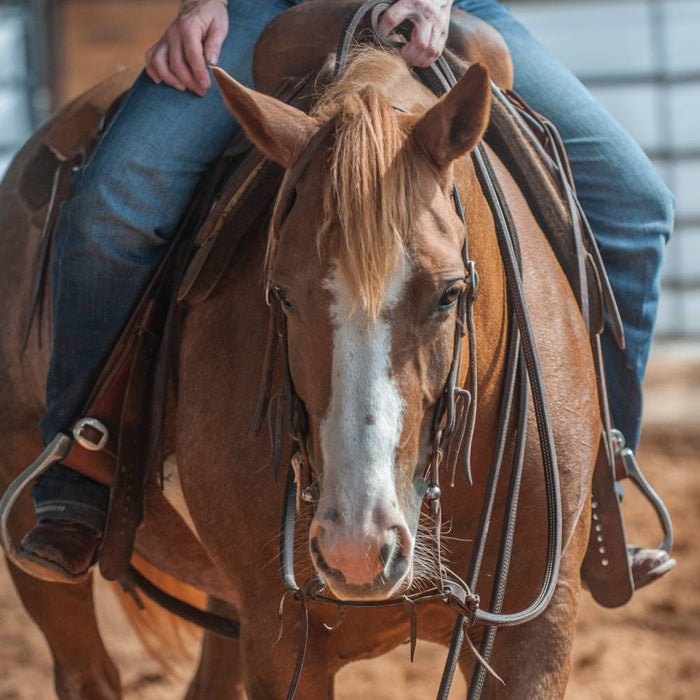 Martin Saddlery Doubled & Stitched Latigo Split Reins Tack - Reins Martin Saddlery