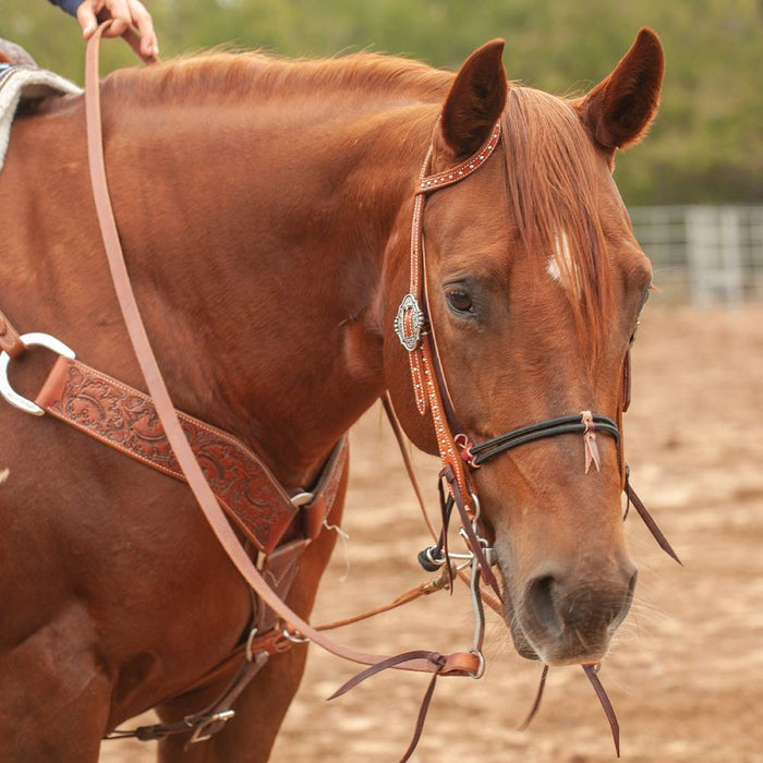 Martin Saddlery Double Nylon Rope Noseband Tack - Nosebands & Tie Downs Martin Saddlery