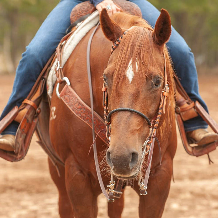 Martin Saddlery Single Rope Noseband With Shrink Tube Cover Tack - Nosebands & Tie Downs Martin Saddlery