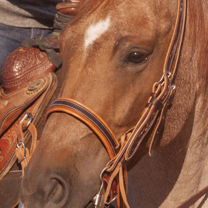 Martin Saddlery Harness Leather Noseband Tack - Nosebands & Tie Downs Martin Saddlery