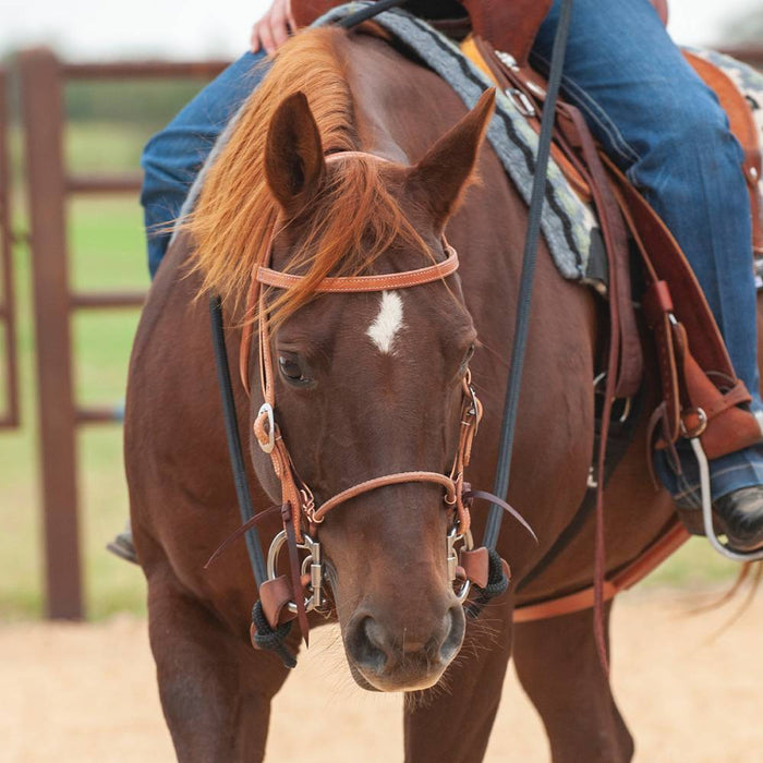 Martin Saddlery Adjustable Cavesson Tack - Nosebands & Tie Downs Martin Saddlery
