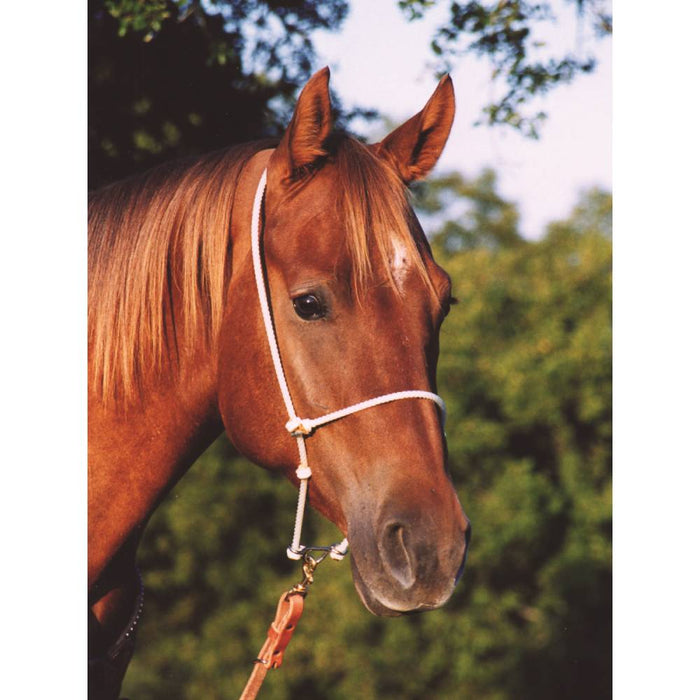 Martin Saddlery Headsetter Tie Down Tack - Training Martin Saddlery