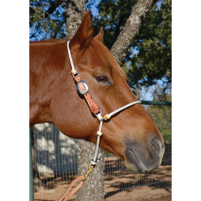 Martin Saddlery Headsetter Tie Down Tack - Training Martin Saddlery