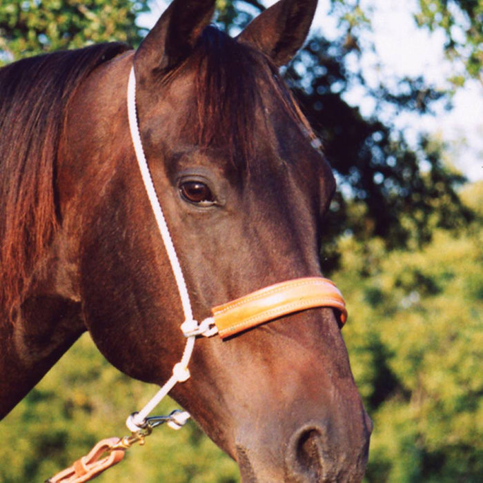 Martin Saddlery Headsetter Tie Down Tack - Training Martin Saddlery Rope with Leather Cover