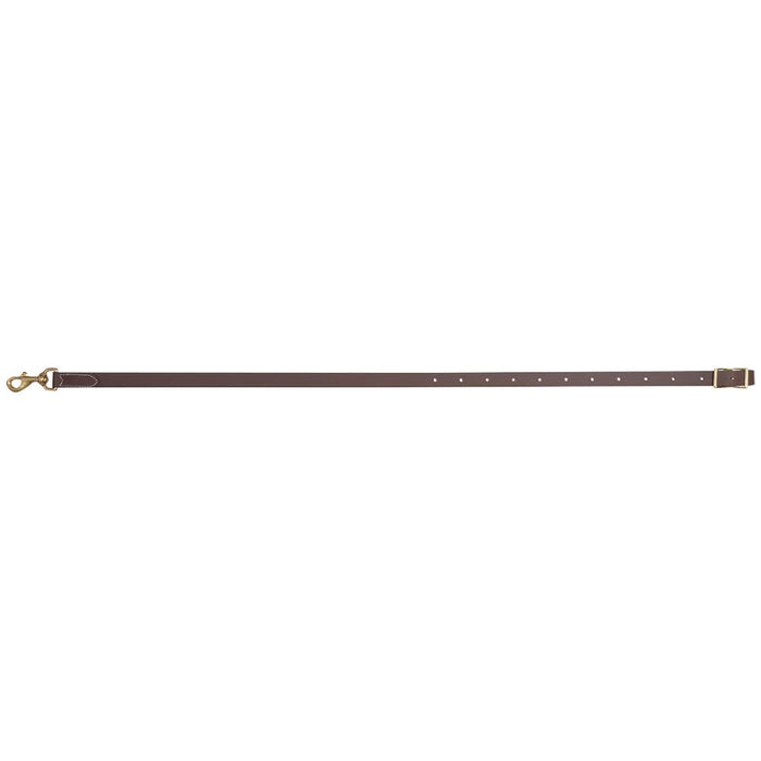 Martin Saddlery Tie Down Straps Tack - Nosebands & Tie Downs Martin Saddlery Biothane 1"