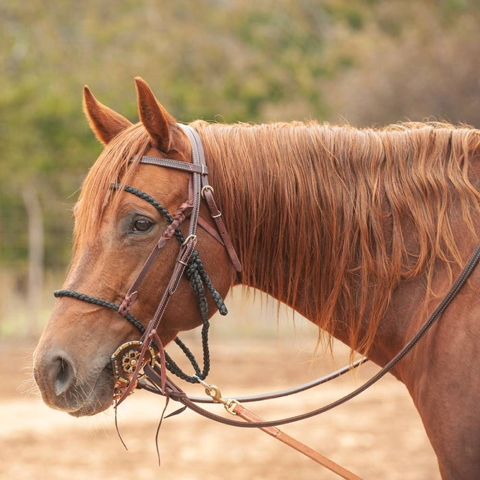 Martin Saddlery Bonnet Tack - Training Martin Saddlery
