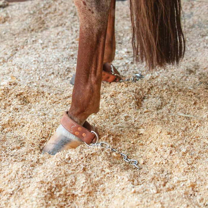 Martin Saddlery Kick Chain Tack - Training Martin Saddlery