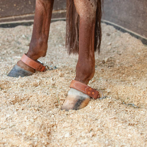 Martin Saddlery Kick Chain Tack - Training Martin Saddlery
