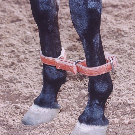 Martin Saddlery Hobbles Tack - Training Martin Saddlery