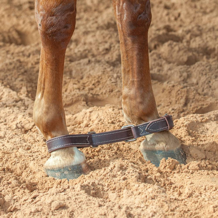 Martin Saddlery Hobbles Tack - Training Martin Saddlery