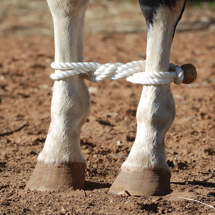 Martin Saddlery Hobbles Tack - Training Martin Saddlery