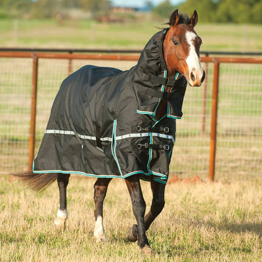 Classic Equine Windbreaker Turnout Sheet With Hood Equine - Blankets & Sheets Classic Equine