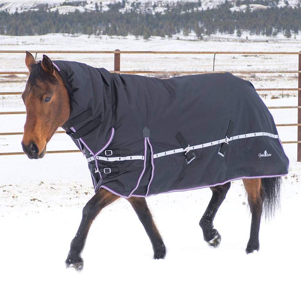 Classic Equine 10K Cross Trainer Hooded Winter Blanket Equine - Blankets & Sheets Classic Equine