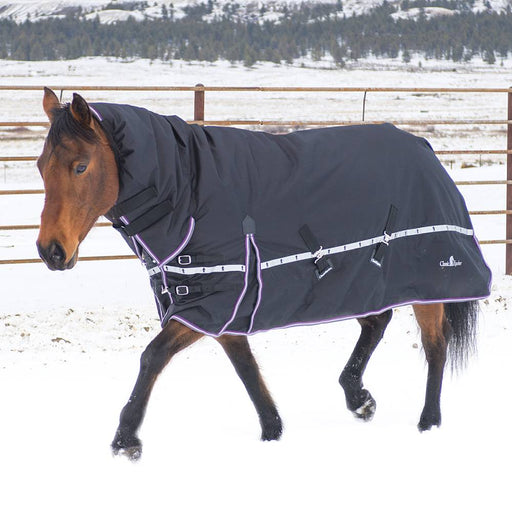 Classic Equine 10K Cross Trainer Hooded Winter Blanket Equine - Blankets & Sheets Classic Equine