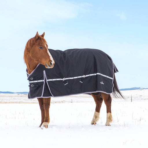 Classic Equine 10K Cross Trainer Winter Blanket Equine - Blankets & Sheets Classic Equine