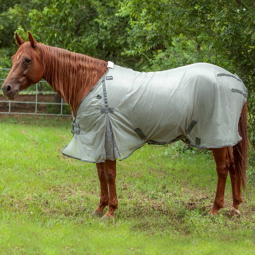 Cashel Econo Fly Sheet Equine - Fly & Insect Control Cashel