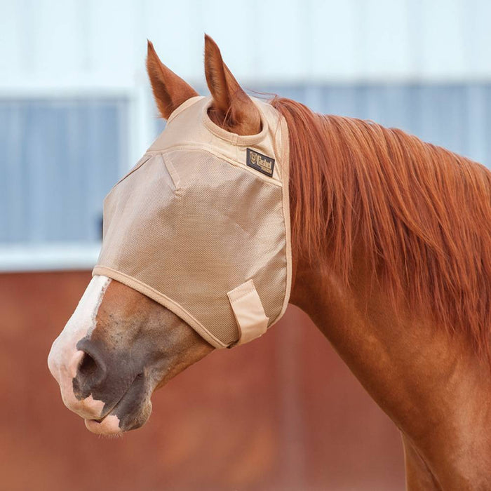Cashel Standard Econo Fly Mask Equine - Fly & Insect Control Cashel No Ear Yearling
