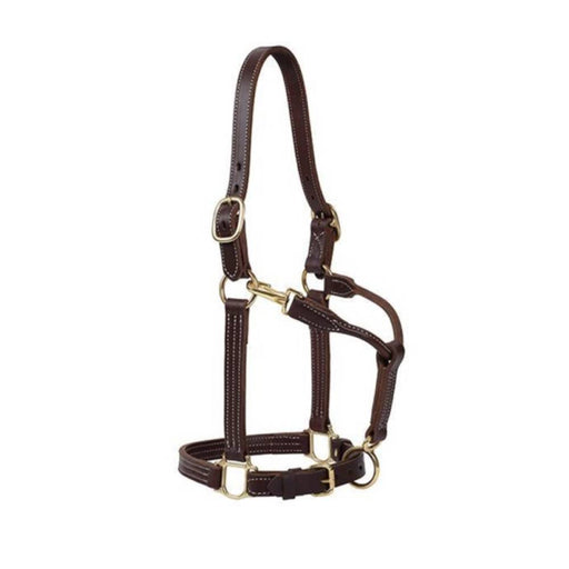 Weaver 1" Track Halter Canyon Rose Tack - Halters & Leads Weaver