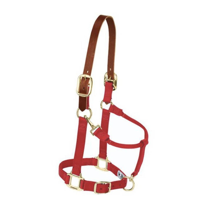 Weaver Original Breakaway Adjustable Halter Tack - Halters & Leads Weaver Pony/Weanling Red