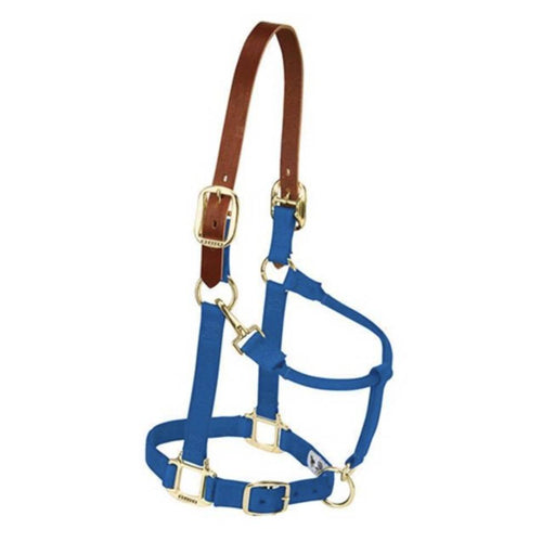 Weaver Original Breakaway Adjustable Halter Tack - Halters & Leads Weaver Pony/Weanling Blue