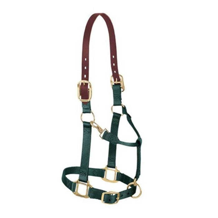 Weaver Original Breakaway Adjustable Halter Tack - Halters & Leads Weaver Pony/Weanling Hunter