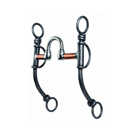 Professional's Choice Bob Avila Pheonix Collection - Correction Tack - Bits Professional's Choice
