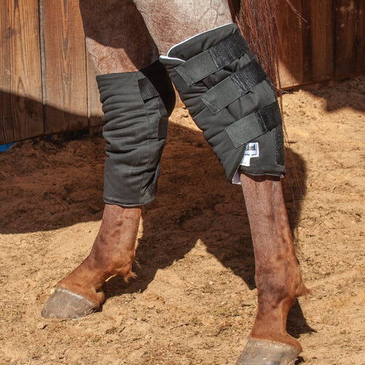 Cashel Hock Sock Tack - Leg Protection Cashel