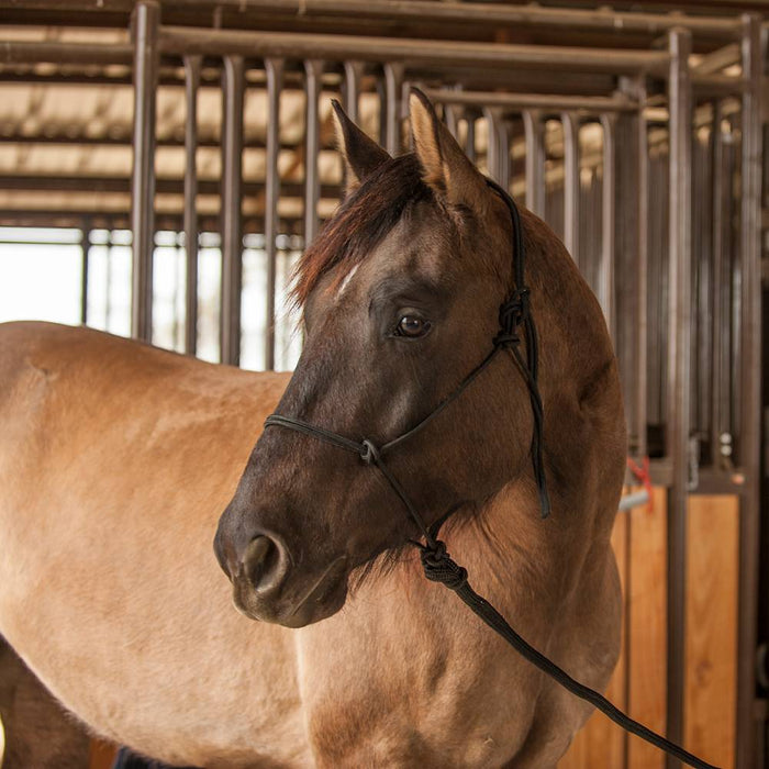 Classic Equine Premium Rope Halter Tack - Halters & Leads Classic Equine