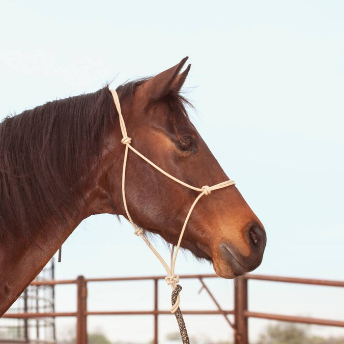 Classic Equine Premium Rope Halter Tack - Halters & Leads Classic Equine
