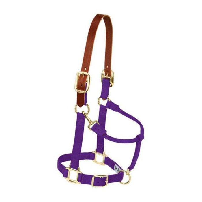 Weaver Original Breakaway Adjustable Halter Tack - Halters & Leads Weaver Pony/Weanling Purple