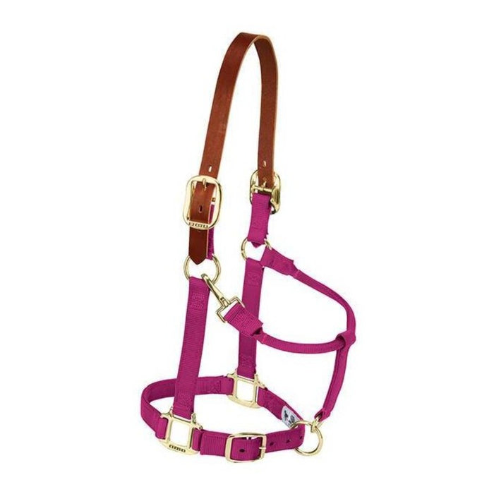 Weaver Original Breakaway Adjustable Halter Tack - Halters & Leads Weaver Pony/Weanling Raspberry