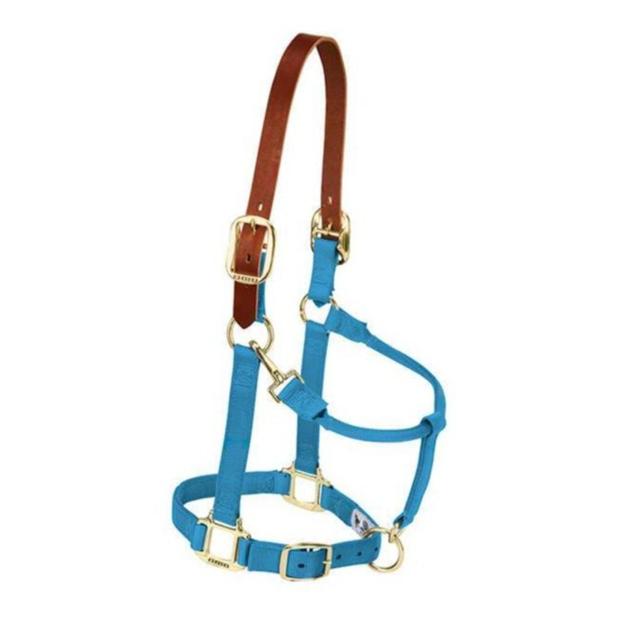 Weaver Original Breakaway Adjustable Halter Tack - Halters & Leads Weaver Pony/Weanling Hurricane Blue