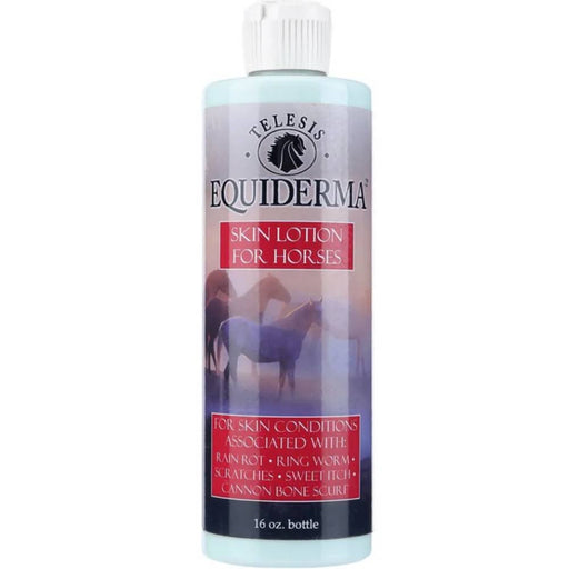Telesis Equiderma Skin Lotion For Horses First Aid & Medical - Topicals Equiderma