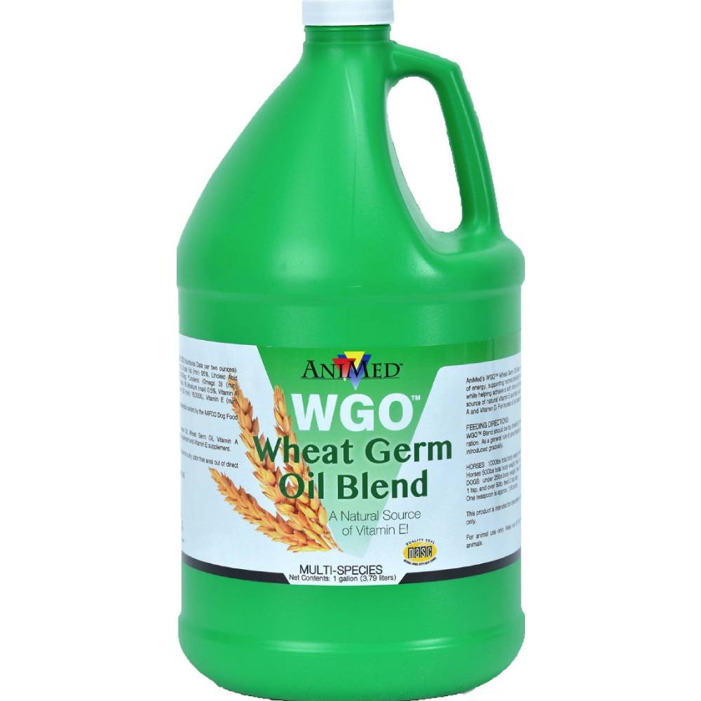 Wheat Germ OIl Equine - Supplements Animed   