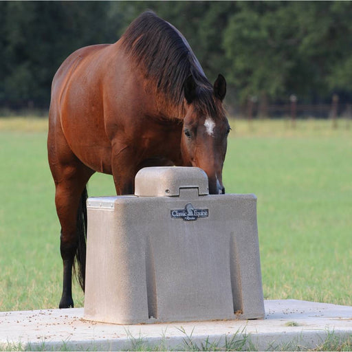 Classic Equine UltraFount Two Drink Barn - Waterers & Troughs Classic Equine