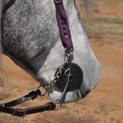 Classic Equine Goostree Long Shank Twisted Wire Snaffle Pickup Bit Tack - Bits Classic Equine