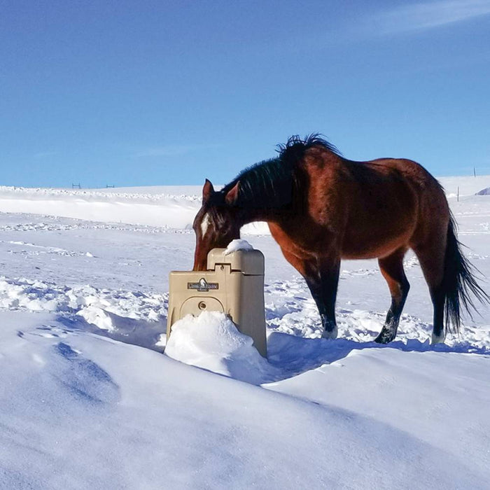 Classic Equine UltraFount Single Drink Barn - Waterers & Troughs Classic Equine