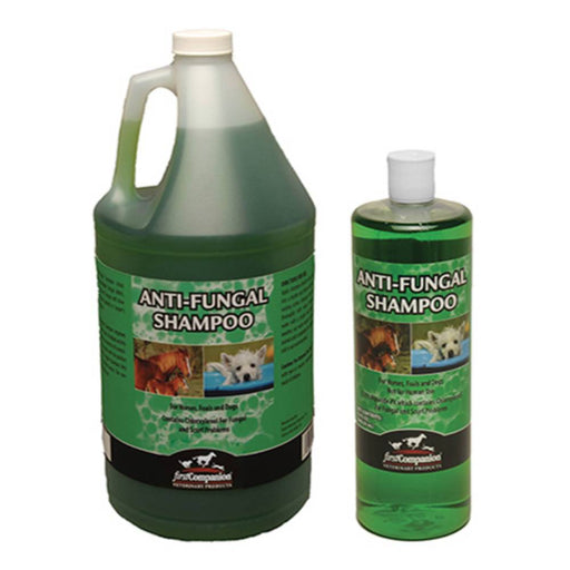 First Companion Anti Fungal Shampoo Equine - Grooming First Companion