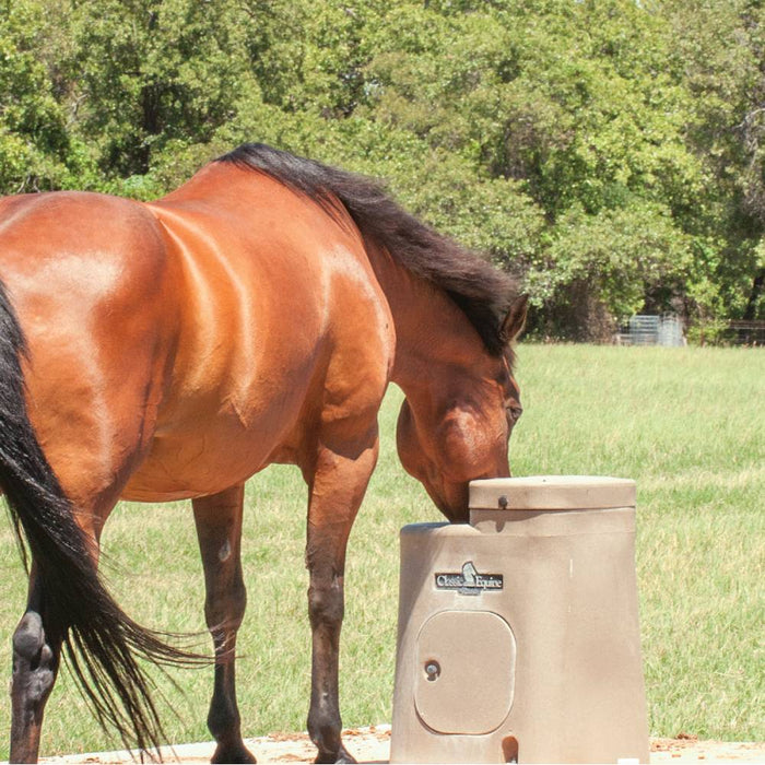 Classic Equine AutoFount Single Drink Barn - Waterers & Troughs Classic Equine