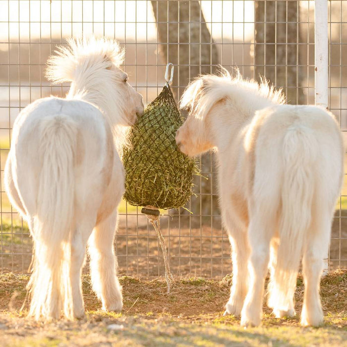Hay Chix® Quarter Bale Net Barn - Hay Bags & Nets Hay Chix