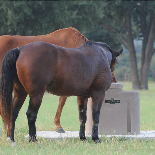 Classic Equine AutoFount Two Drink Barn - Waterers & Troughs Classic Equine