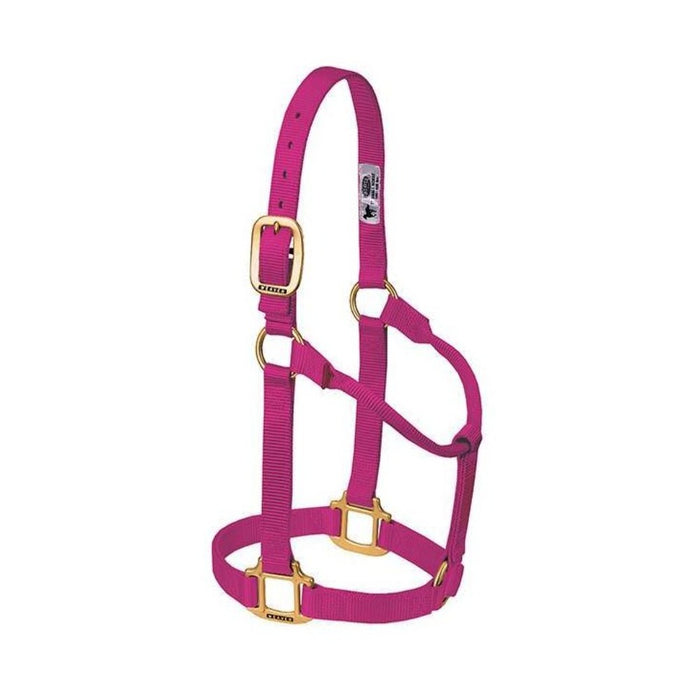 Original 3/4" Non-Adjustable Halter for Weanling/Pony Tack - Halters & Leads Weaver Raspberry
