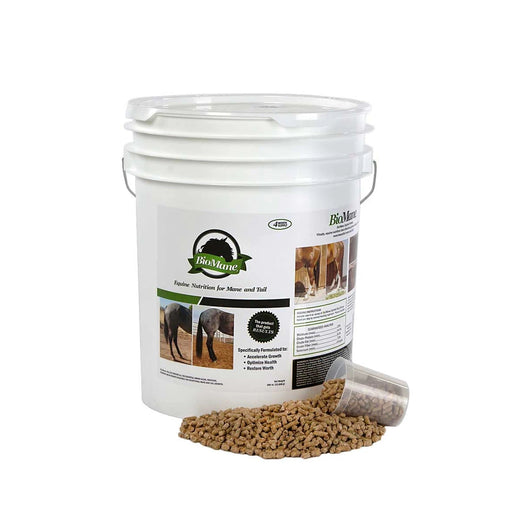 BioMane Equine - Supplements BioMane