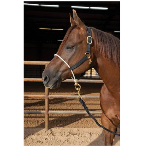 Professional's Choice Rope Nose Nylon Halter Tack - Halters & Leads Professional's Choice