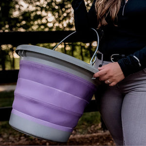Boss Bucket - Collapsible Bucket Barn - Buckets & Hangers Boss Equine Products Grey/Purple  