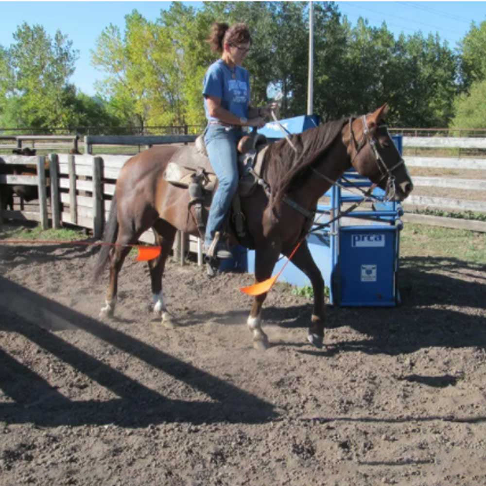 JASPER Training Barrier Tack - Ropes & Roping Jasper Training Barriers