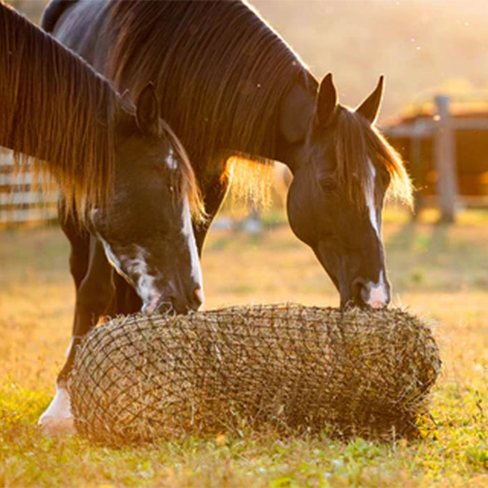 Texas Haynet Square Bale Net Barn - Hay Bags & Nets Texas Haynet