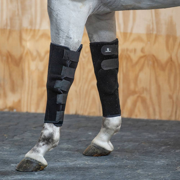 Classic Equine Stud Breeding Boots Tack - Leg Protection Classic Equine