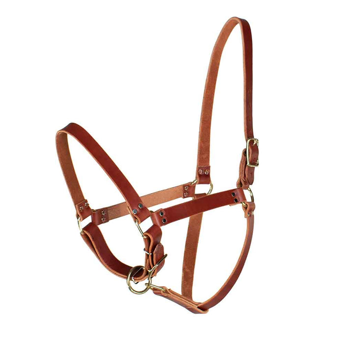 Teskey's Riveted Halter Tack - Halters & Leads Teskey's Yearling