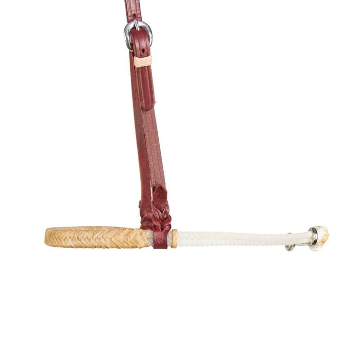 Teskey's Braided Rawhide Noseband Tack - Nosebands & Tie Downs Teskey's